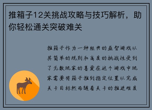 推箱子12关挑战攻略与技巧解析，助你轻松通关突破难关